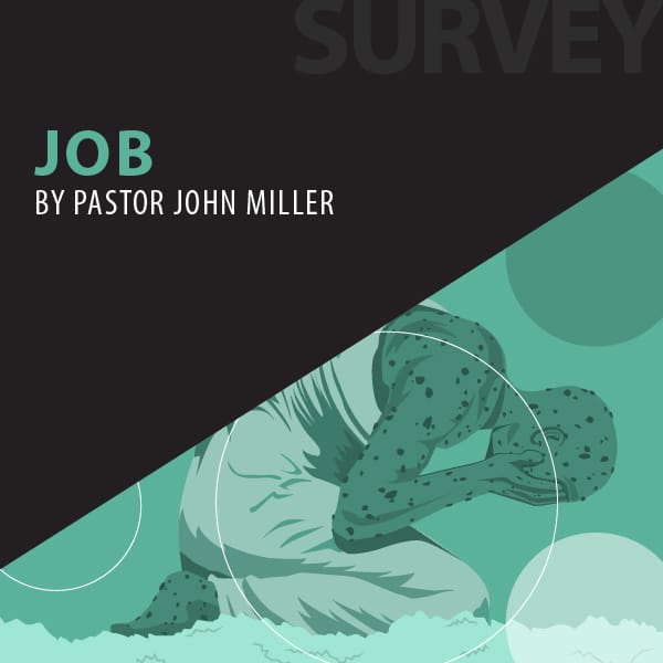 Job series cover