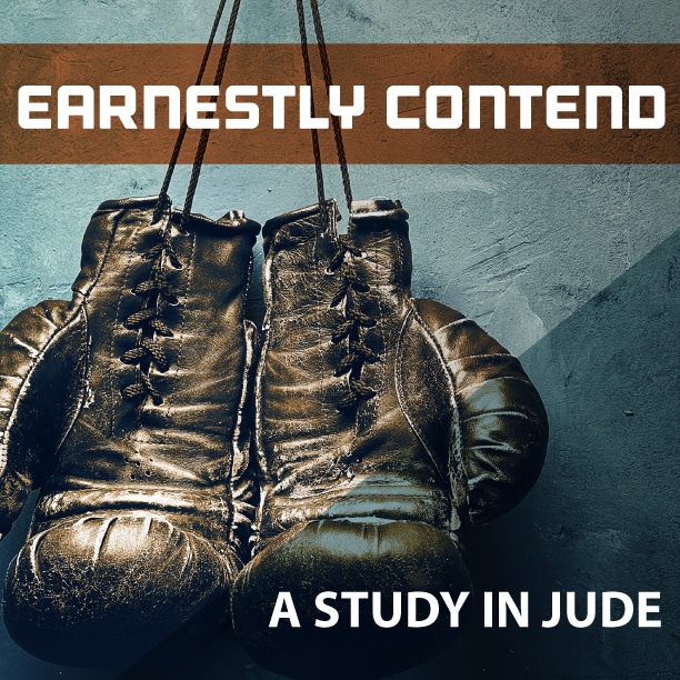Jude (2015) series cover