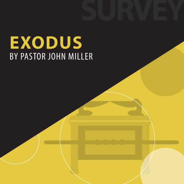 Exodus series cover
