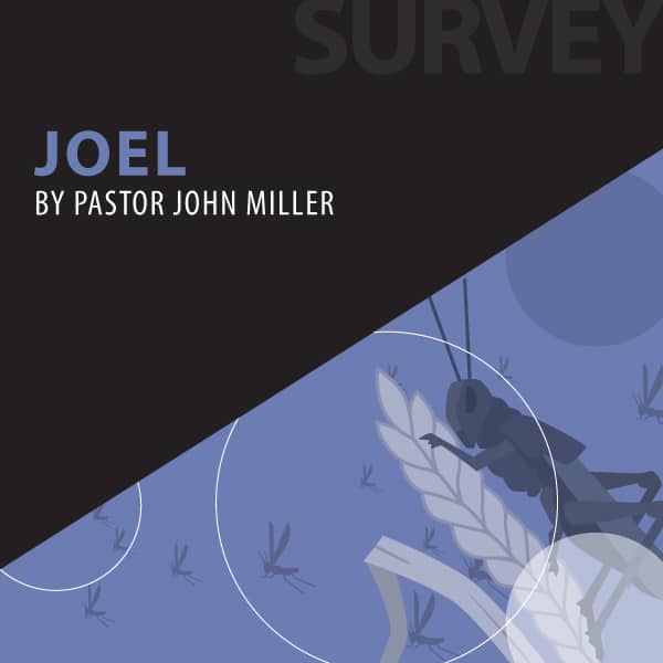Joel series cover