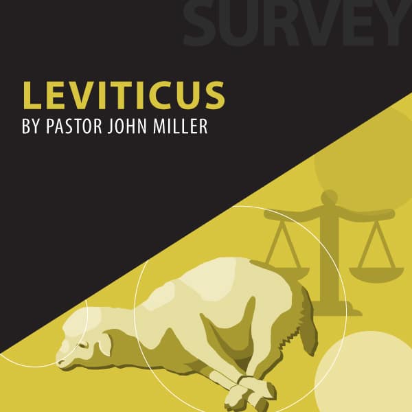 Leviticus series cover