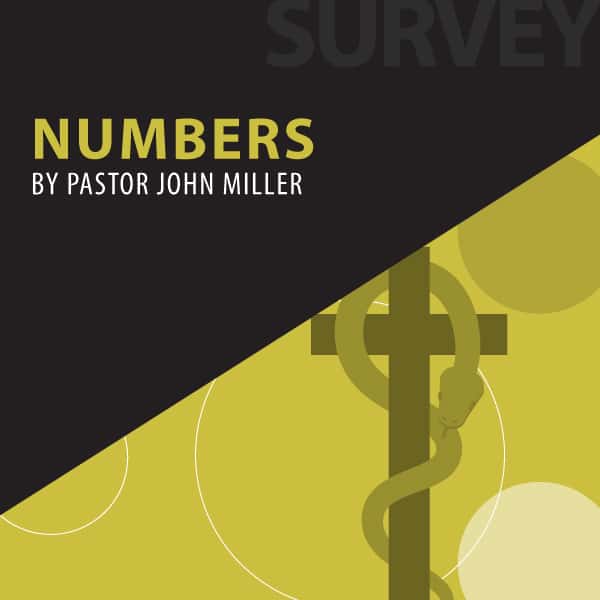 Numbers series cover