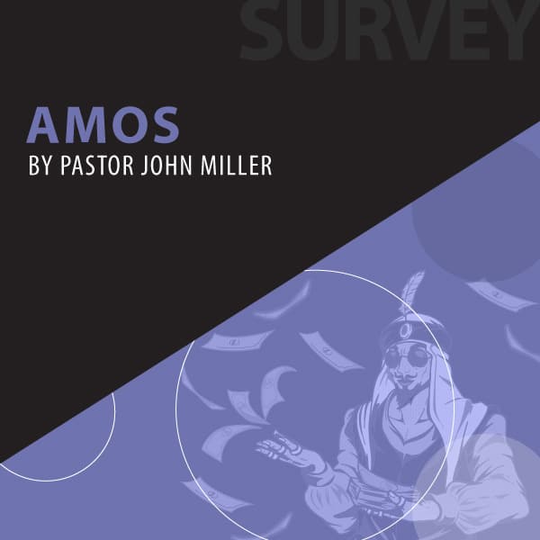 Amos series cover