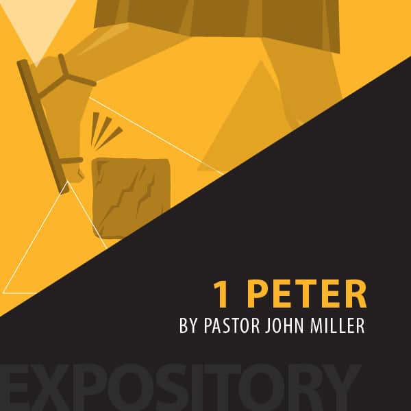 1 Peter (2004) series cover