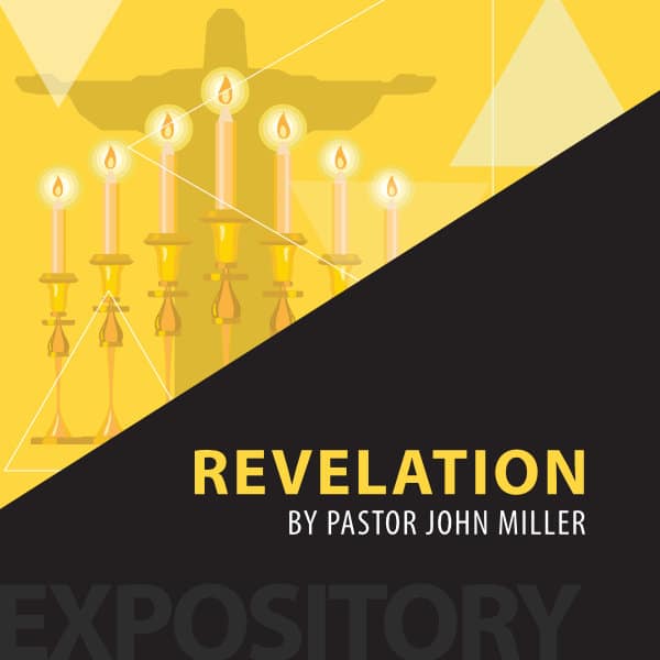 Revelation (1985) series cover