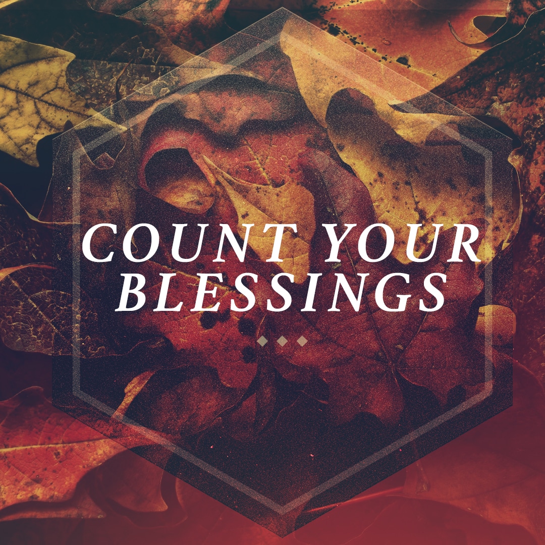 Count Your Blessings (2019) series cover