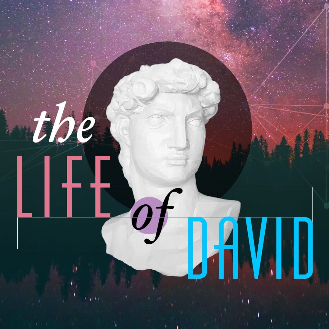 The Life Of David (2007) series cover