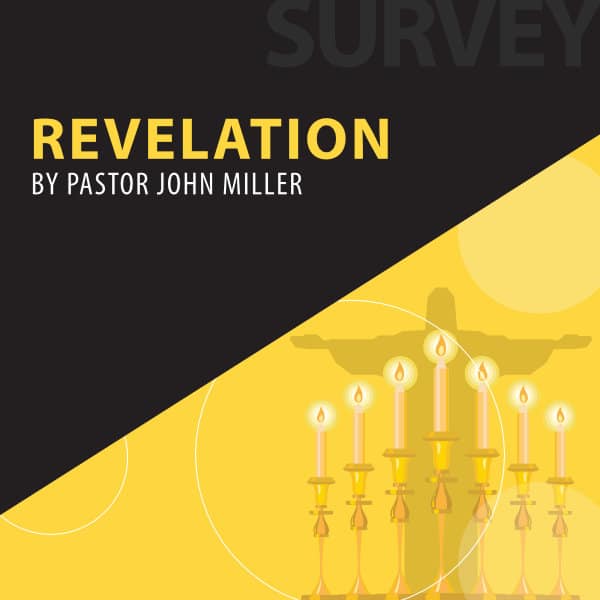 Revelation series cover