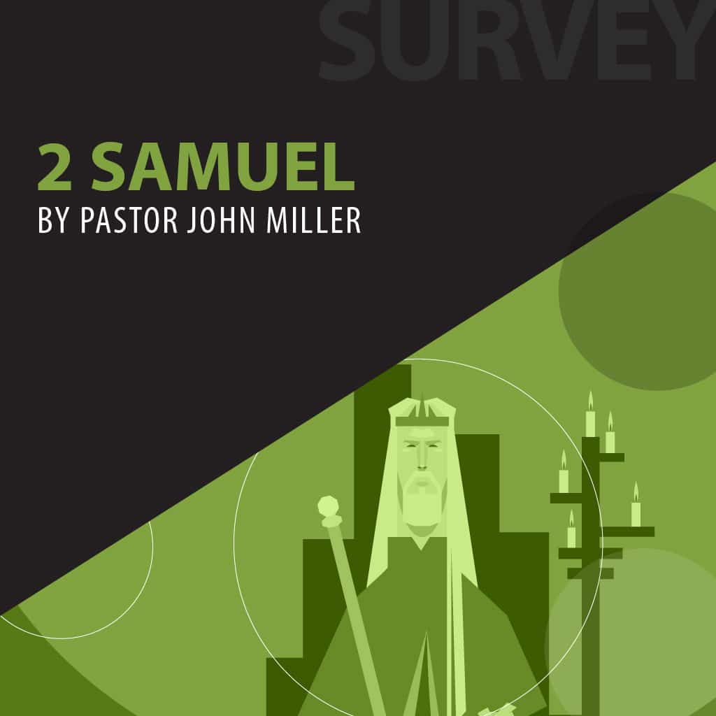 2 Samuel series cover