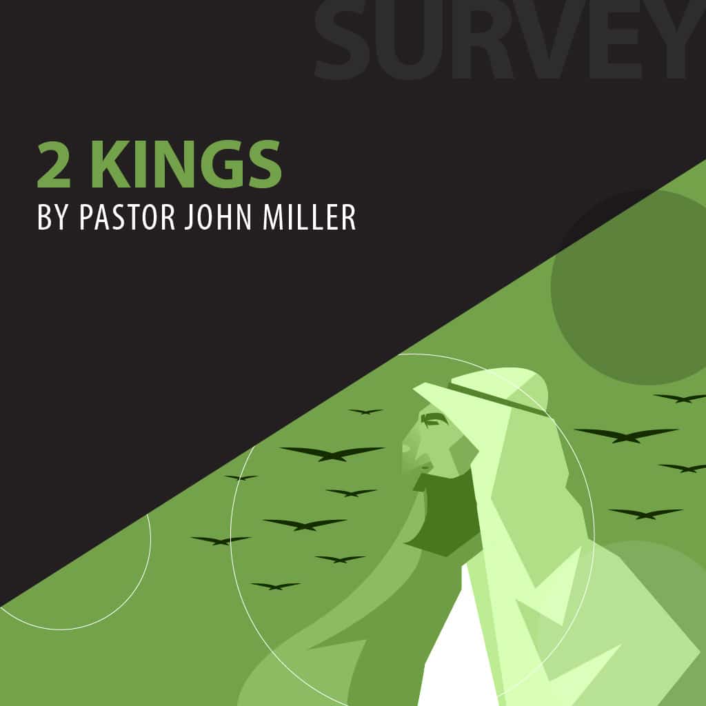 2 Kings series cover