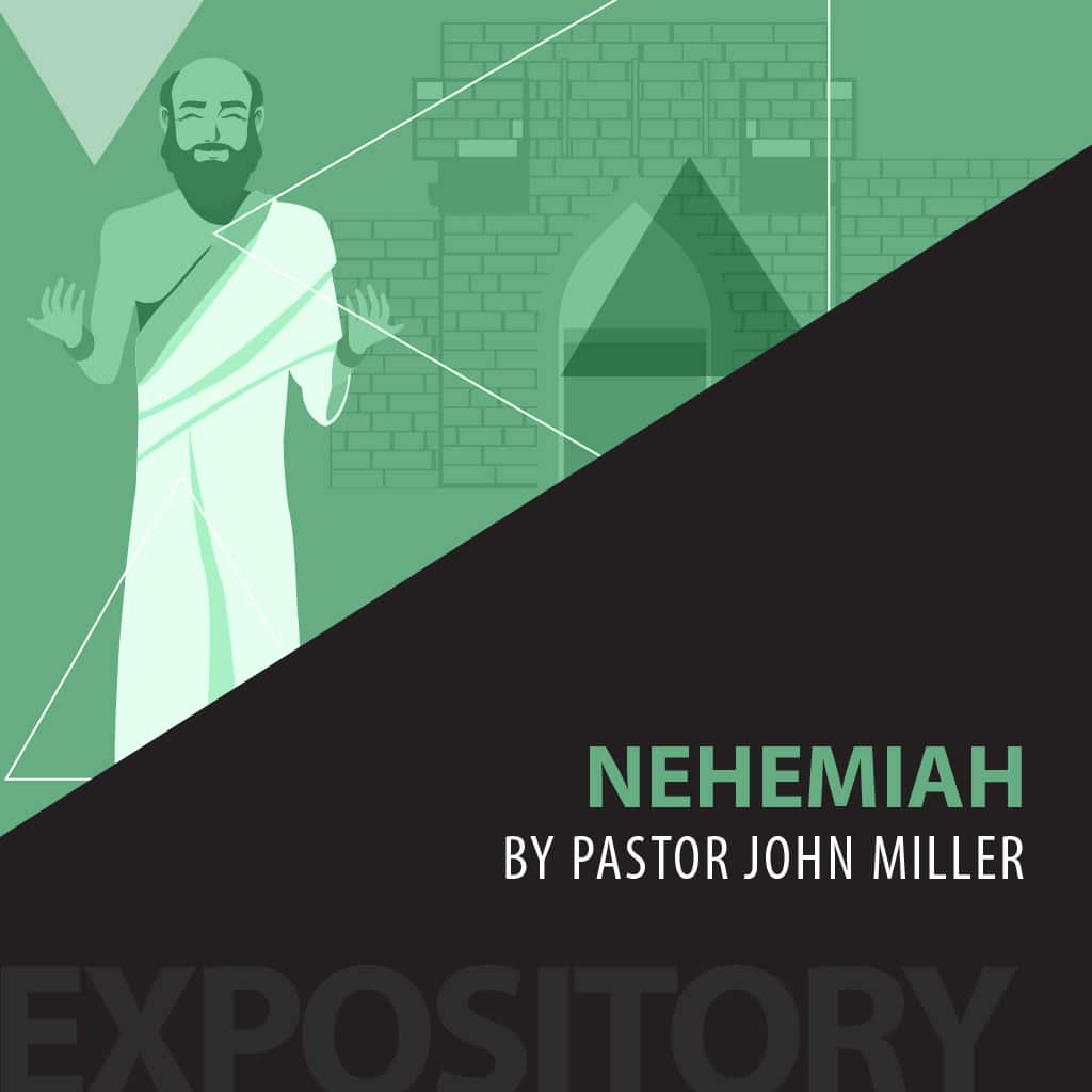 Nehemiah series cover