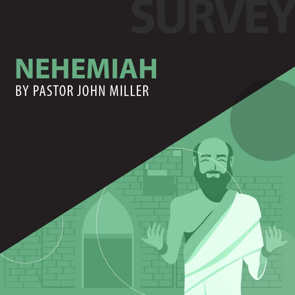 Nehemiah series cover
