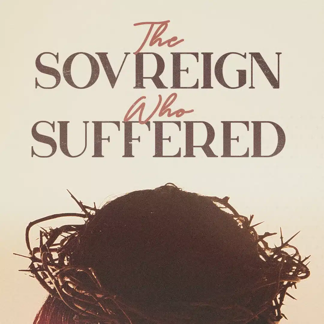 The Sovereign Who Suffered (2023) series cover