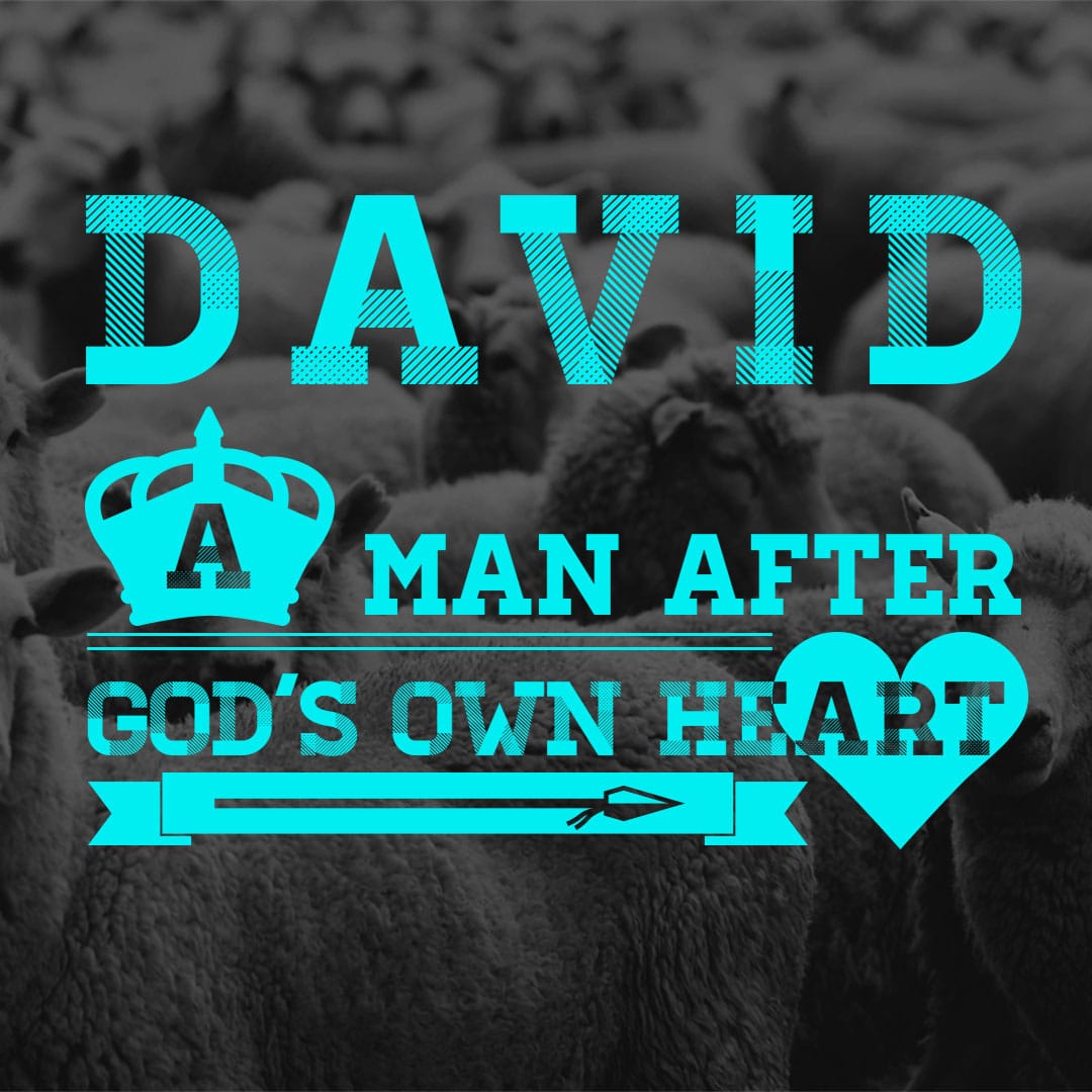 The Life Of David (2012) series cover