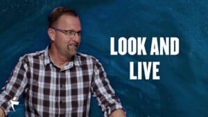 Look And Live